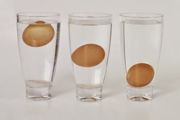 طريقة التأكد من سلامة البيض