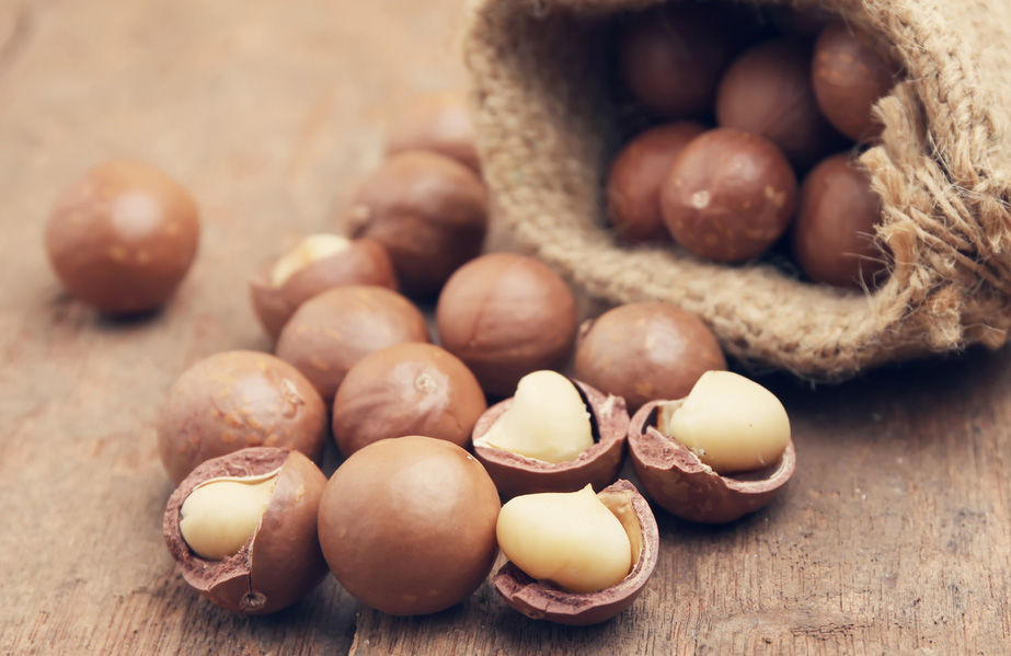 فوائد المكاديميا الصحية