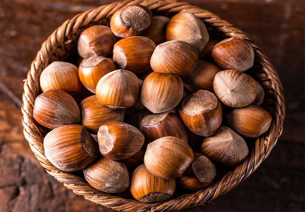 فوائد البندق الصحية