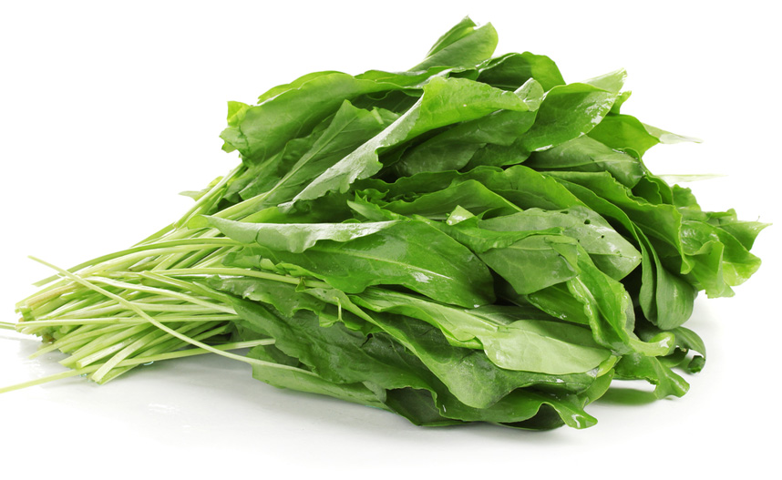 فوائد الجرجير الصحية