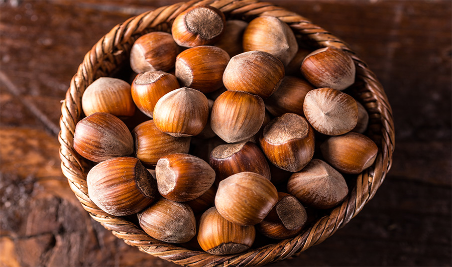 فوائد البندق لصحة الجسم