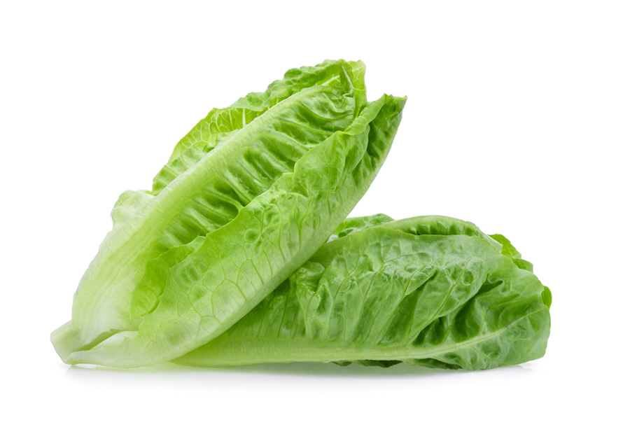 فوائد الخس الصحية