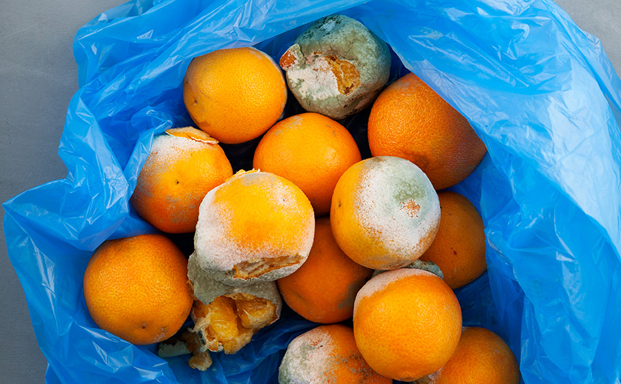 علامات تدل على فساد الأطعمة