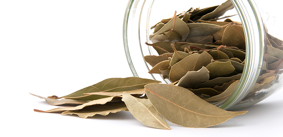 فوائد ورق الغار أو الرند الصحية