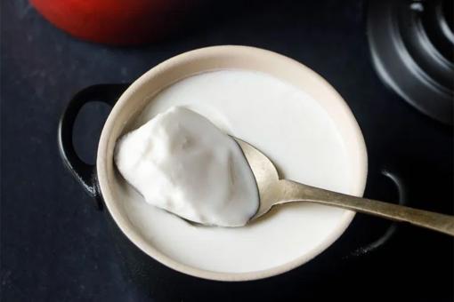 الزبادي في المنزل