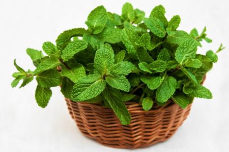 طرق الإحتفاظ بالنعناع طازجا