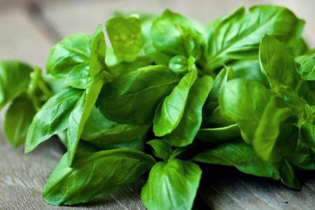 وصفات الريحان لعلاج مشاكل الشعر