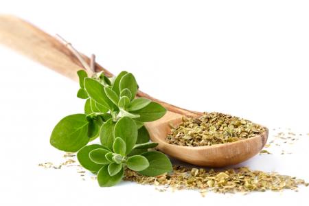 فوائد البردقوش للنساء والرجال وطرق استخدامه