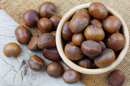 فوائد الكستناء الصحية