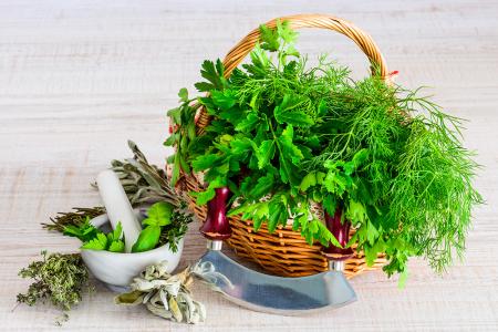 حفظ الأعشاب الخضراء طازجة لمدة طويلة