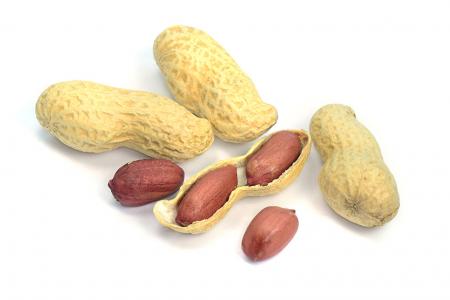 فوائد الفول السوداني