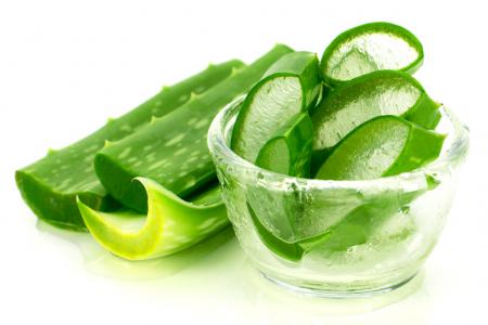 فوائد الصبار للشعر