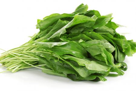 فوائد الجرجير الصحية