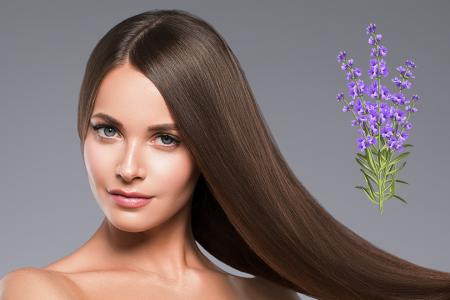 فوائد الخزامى للشعر