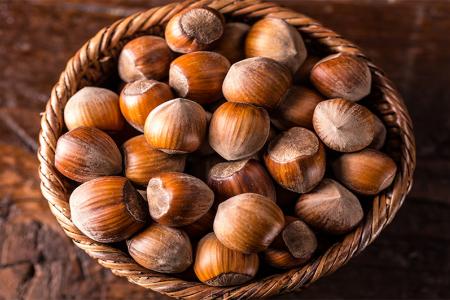 فوائد البندق لصحة الجسم