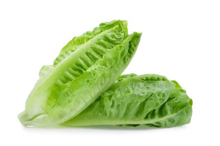 فوائد الخس الصحية