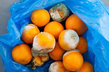 علامات تدل على فساد الأطعمة