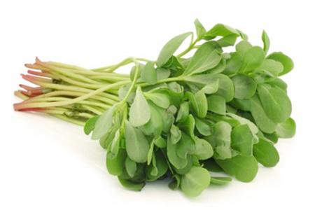 فوائد أوراق نبات الرجلة الصحية