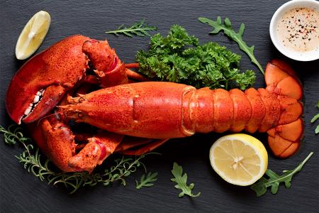 فوائد الإستاكوزا الصحية