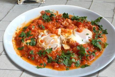 الشكشوكة المصرية